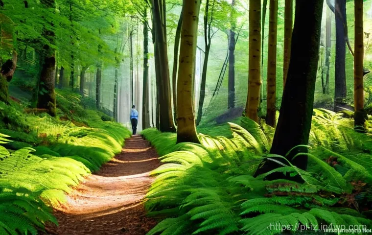 생태 심리학과 환경 감정 - **Prompt 1: Serene Forest Morning**
"A peaceful, serene image of an adult woman or man in their ...